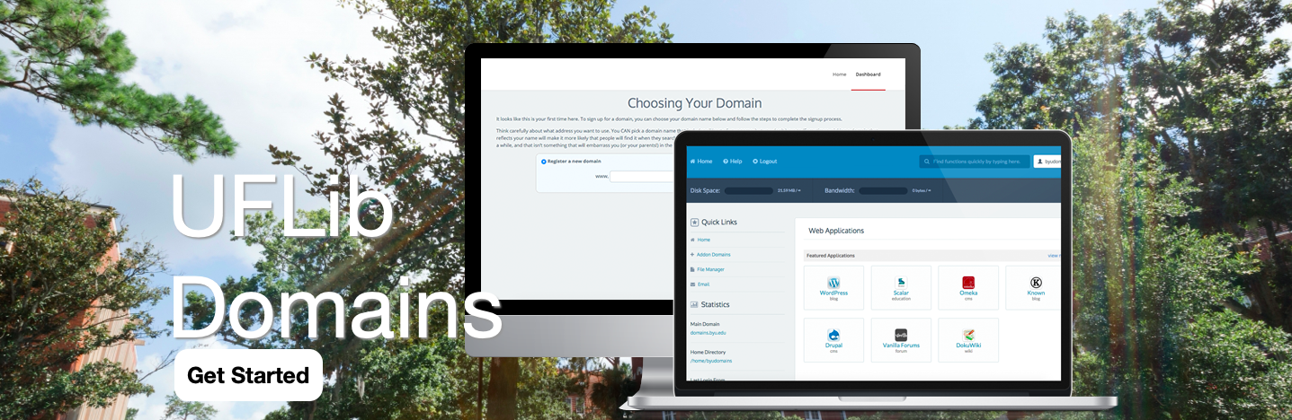 Screenshot from UFLib Domains web hosting service